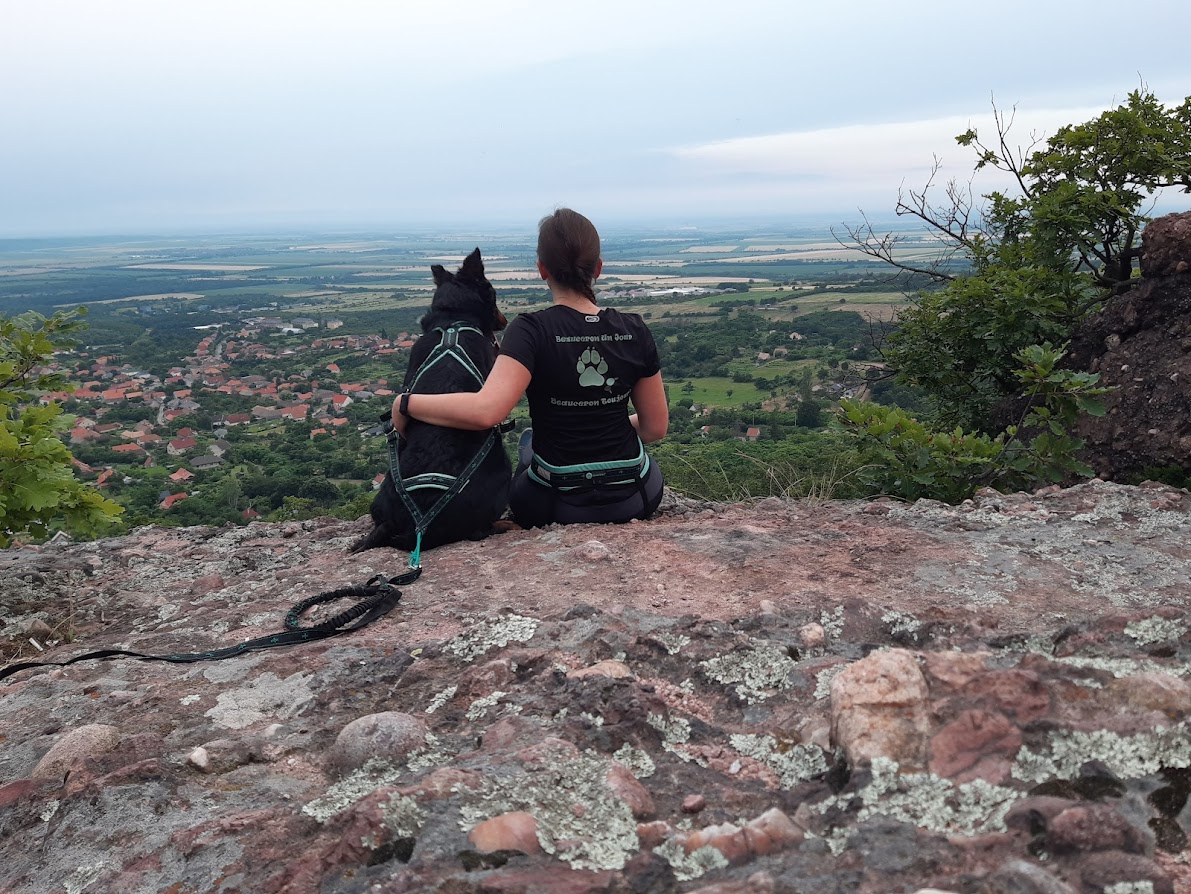 beaucerons-des-gardiens-du-chaos-canicross.jpg