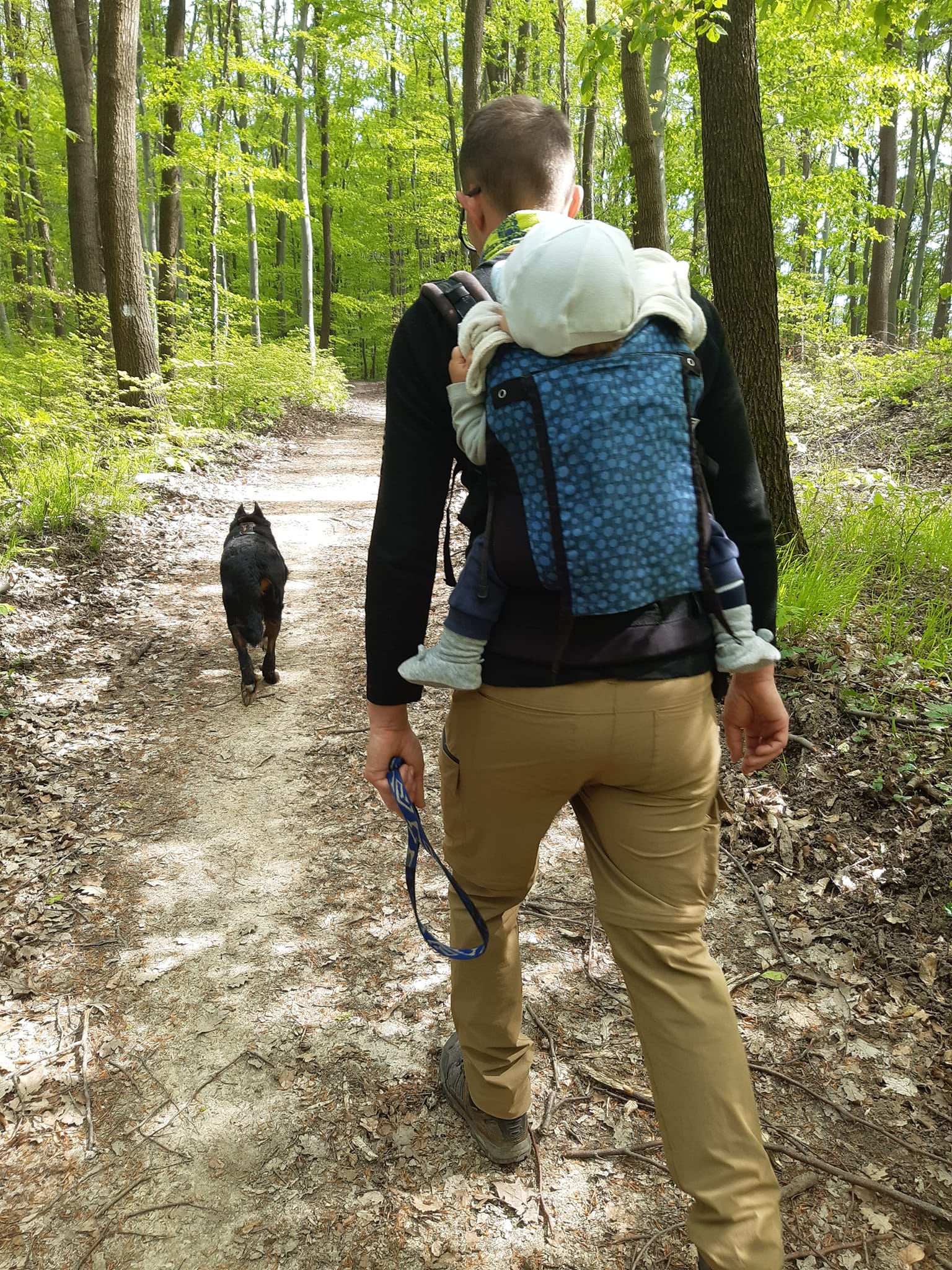 beaucerons-des-gardiens-du-chaos-hiking.jpg