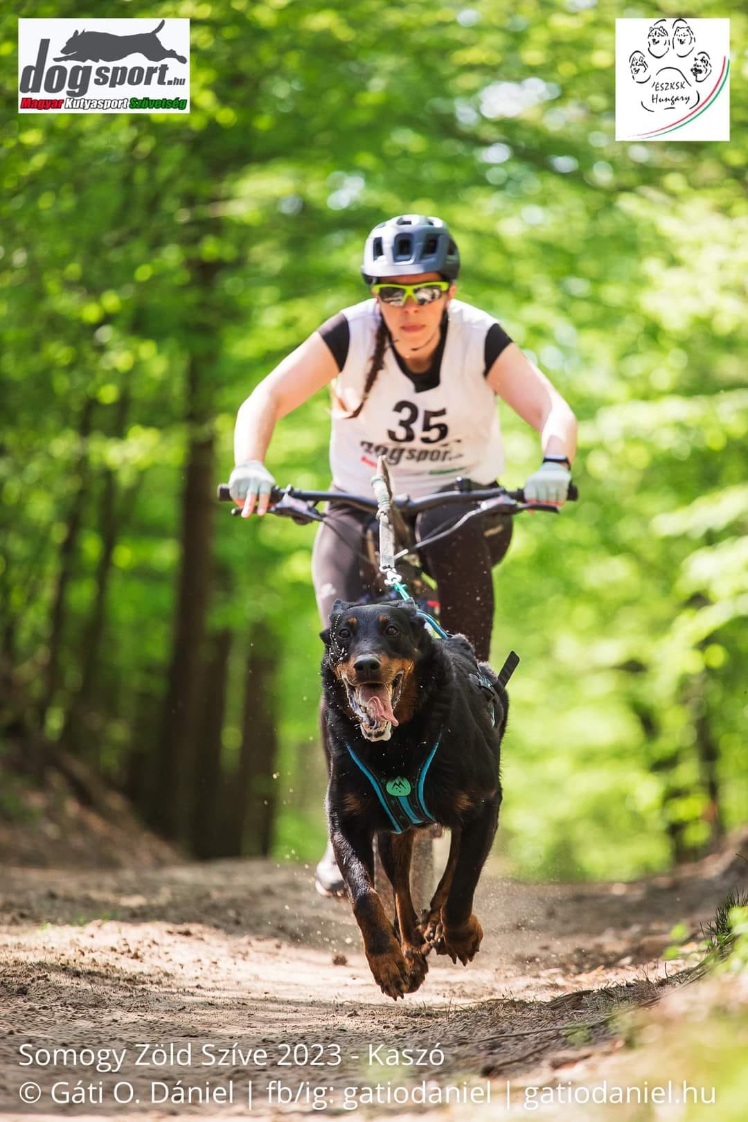 bikejoring-beauceron.jpg