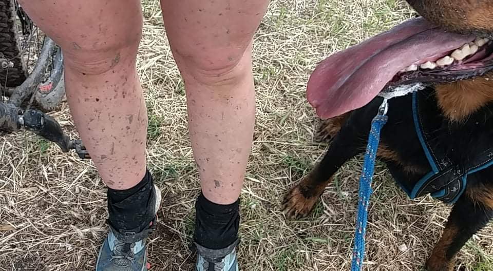 bikejoring_beauceron.jpg