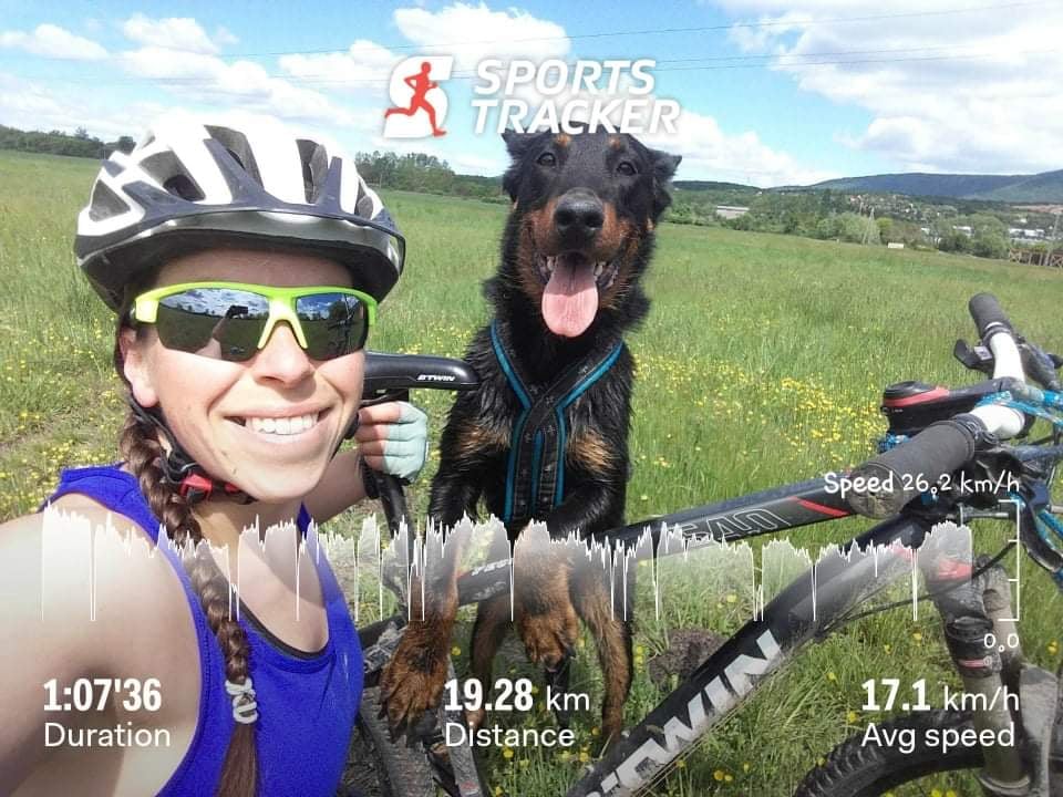 bikejoring_beauceron_rockrider.jpg