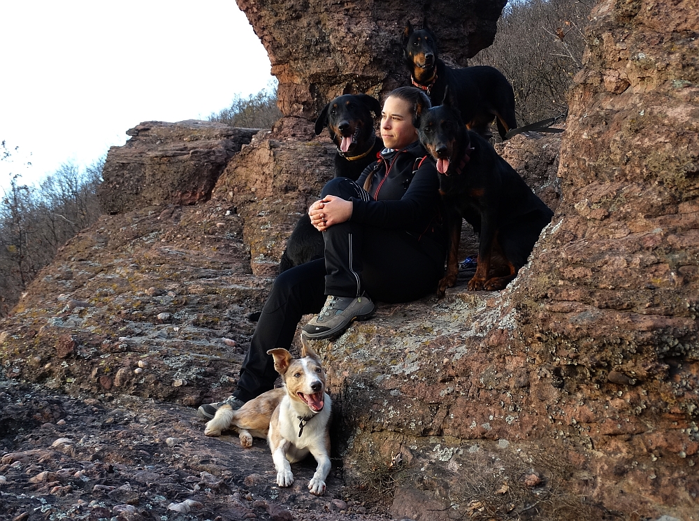 border-collie-beauceron-berger-de-beauce-gardiens-du-chaos-kennel-working-dog-sport-herding-hiking-hike-tura-turazas-mecsek.jpg