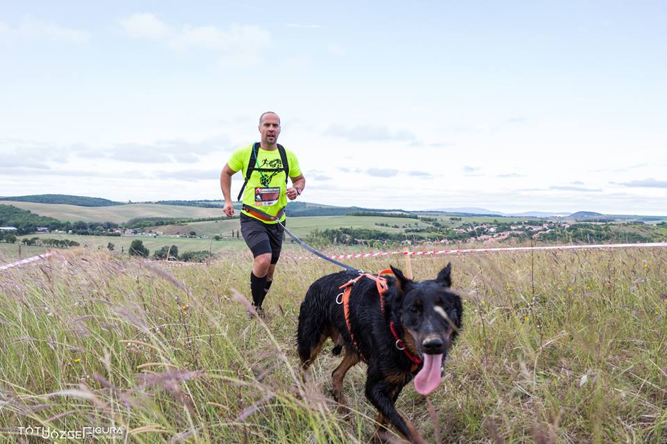 hard-dog-race-wild-beauceron-berger-de-beauce-gardiens-du-chaos-beowulf.jpg