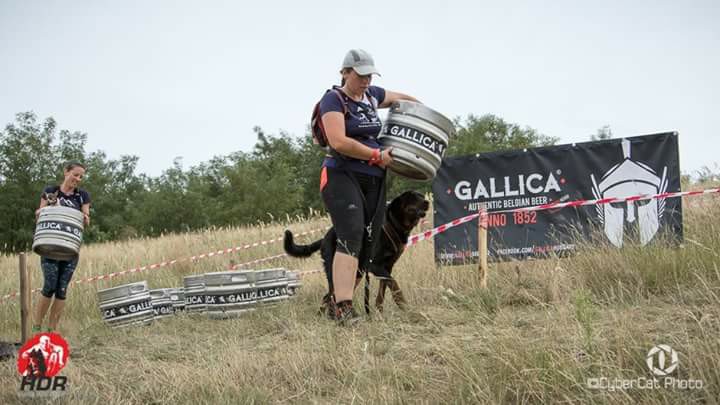 hard-dog-race-wild-beauceron-berger-de-beauce-gardiens-du-chaos.jpg