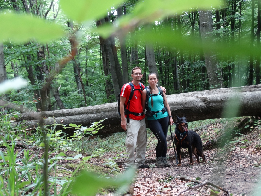 papuk_beauceron_hiking_dog.jpg