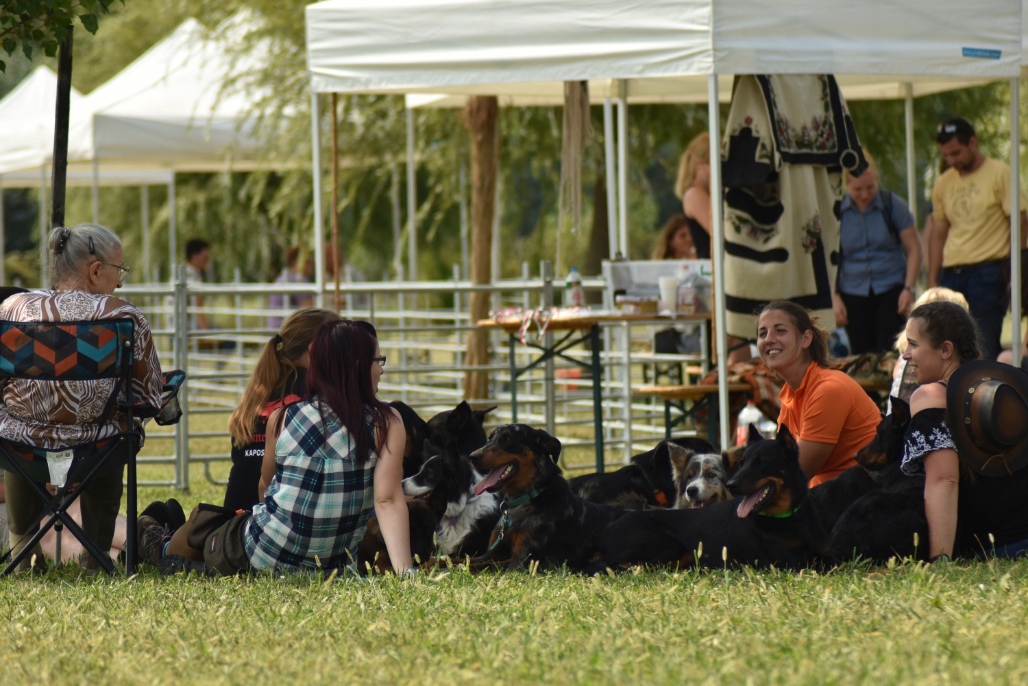 szaporca-tereloverseny-herding-trial-picnic.jpg