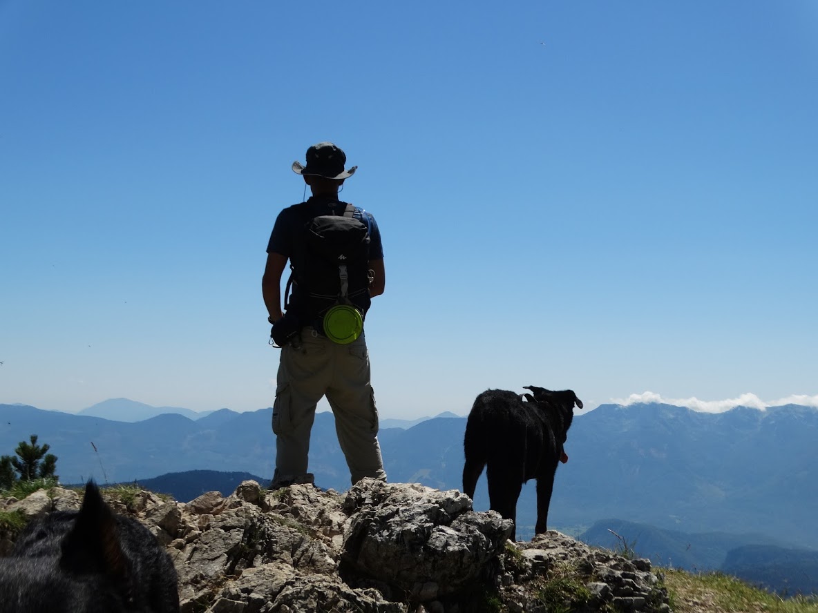 szlovenia-visevnik-boys-beauceron.JPG