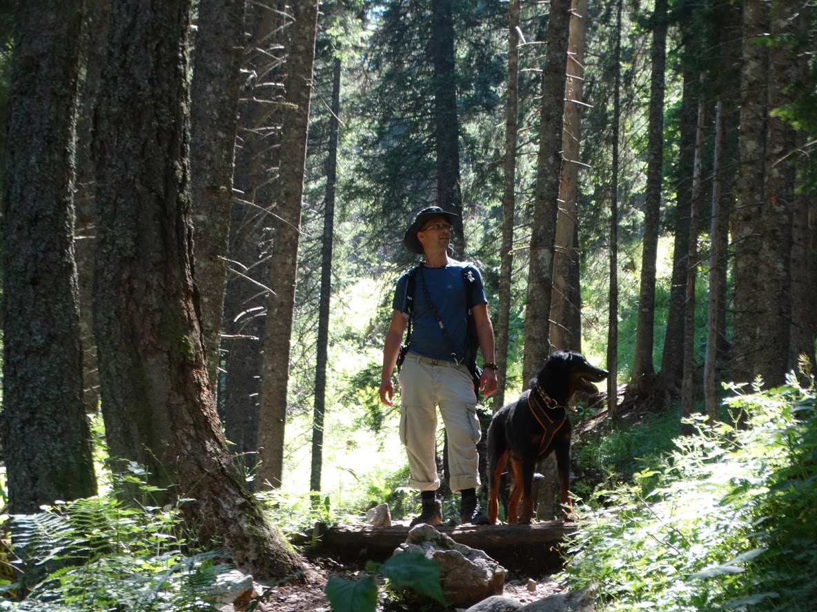 szlovenia-visevnik-woods-beauceron.JPG