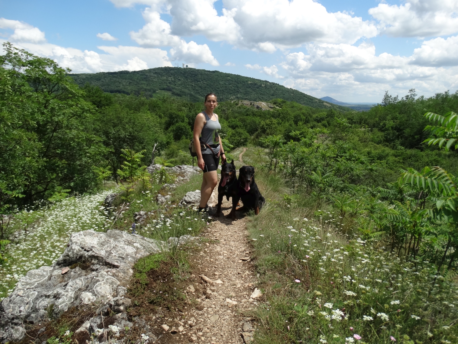 tenkes-hiking-beauceron.jpg