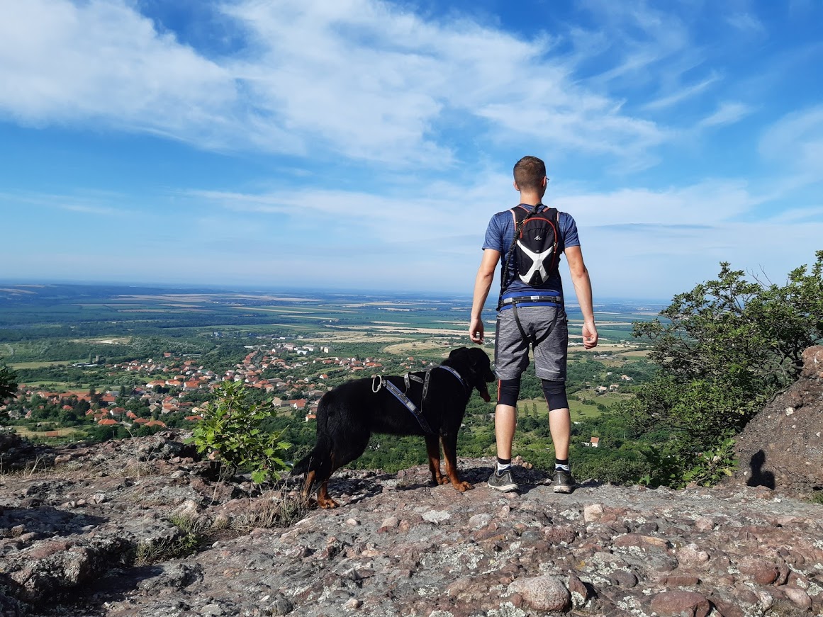 trail-runner-beauceron.jpg