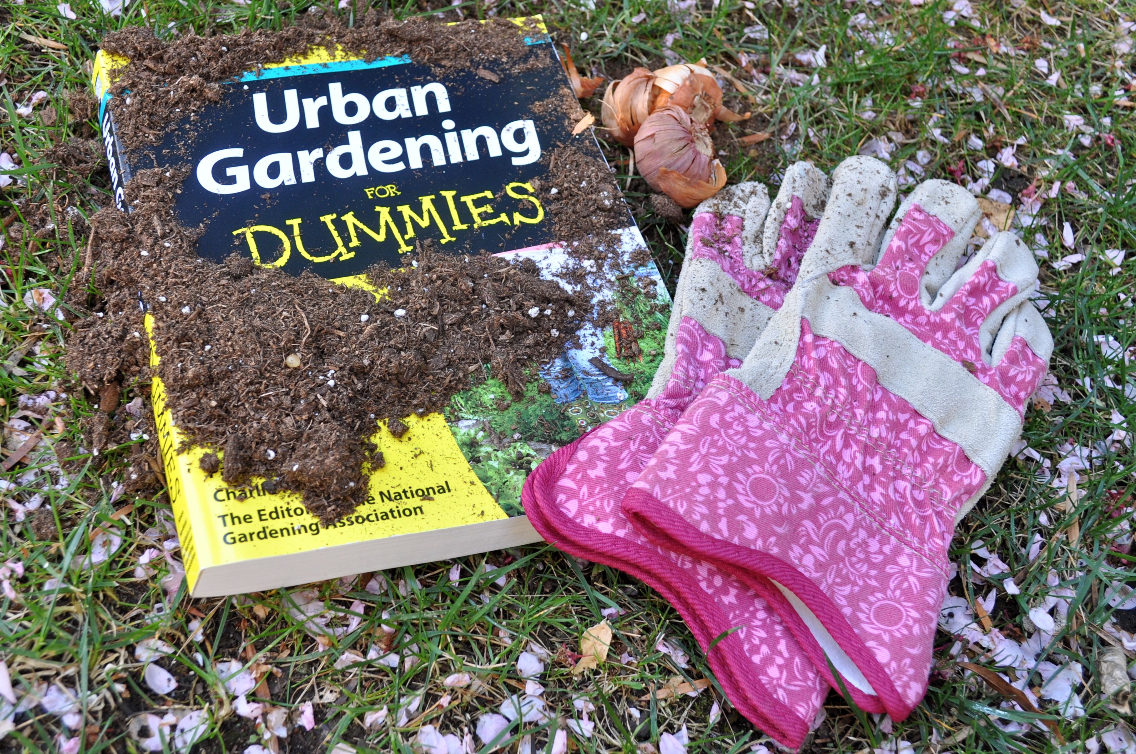 Urban-Garden-for-Dummies-Simple-Sojourns (3).jpg
