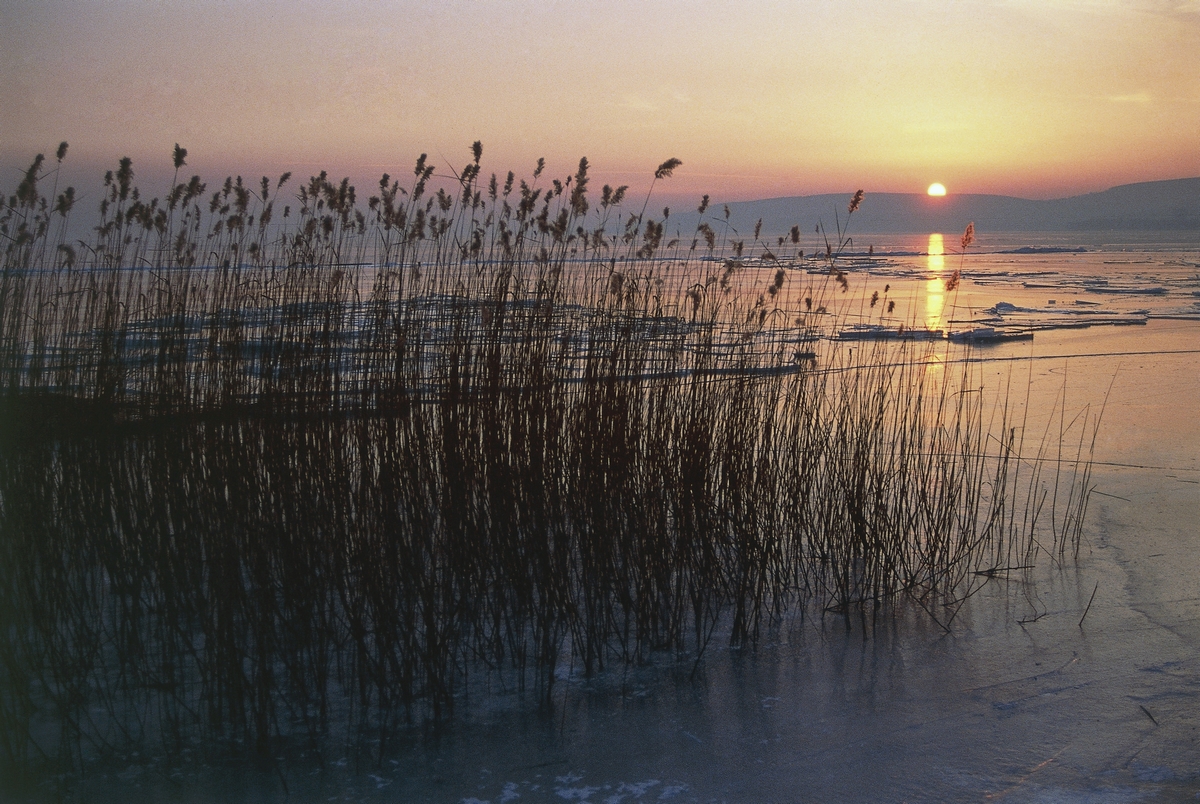 balaton.jpg