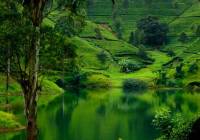 Sri-Lanka-adventure-holidays-travel-tours-vacation-packages-Nuwara-Eliya.jpg