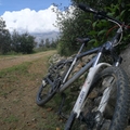 301. - Mountain bike