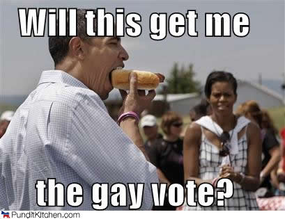 political-pictures-barack-obama-gay-vote1[1].jpg