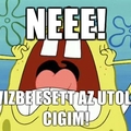 Spangli Bob