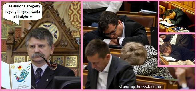 Alvó képviselők a parlamentben.JPG