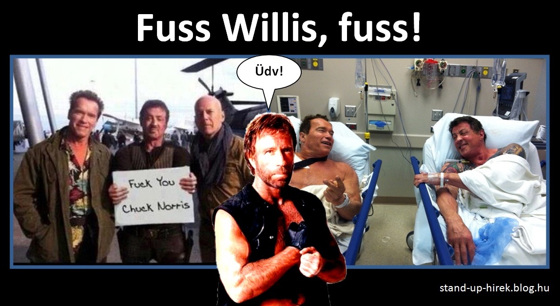 Chuck Norris Bruce Willis Silvester Stallone Arnold Schwarzenegger hospital.jpg