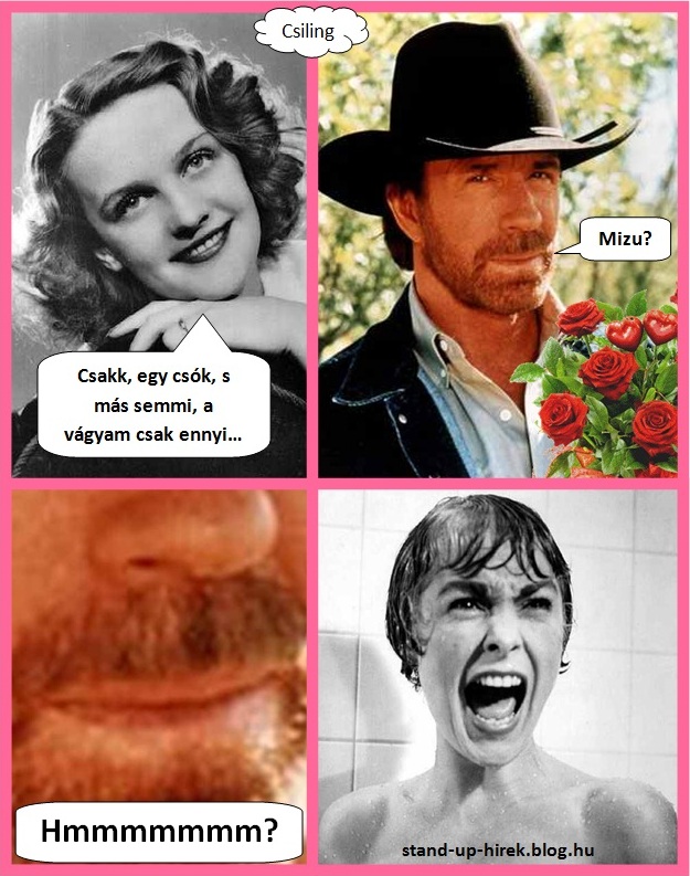 Csakk egy csók és más semmi - Chuck Norris.jpg