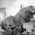 21 elefánt a Brooklyn hídon