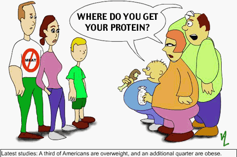 protein.gif