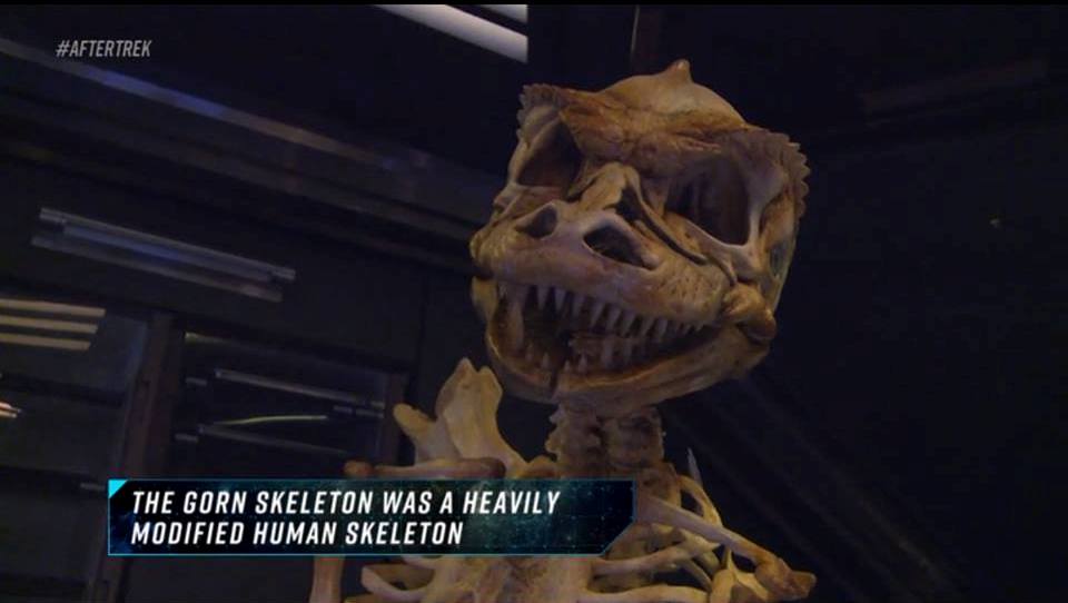 gorn_skeleton_a.jpg