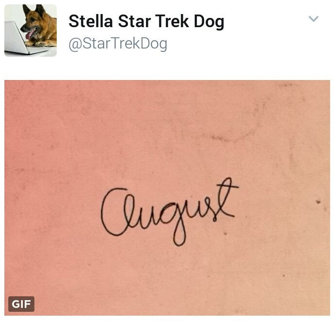 stella-august.jpg