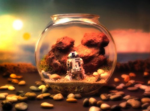 Star-Wars-Themed-Worlds-Glass-Terrariums-by-Tony-Larson-R2D2-02.jpeg