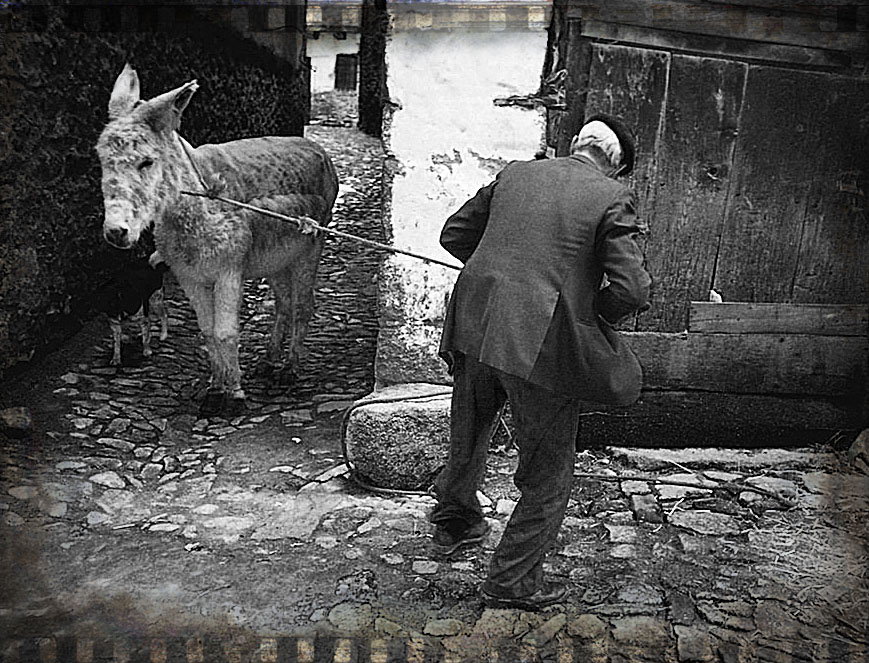 old-man-and-donkey.jpg