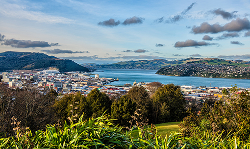 dunedin-view.jpg