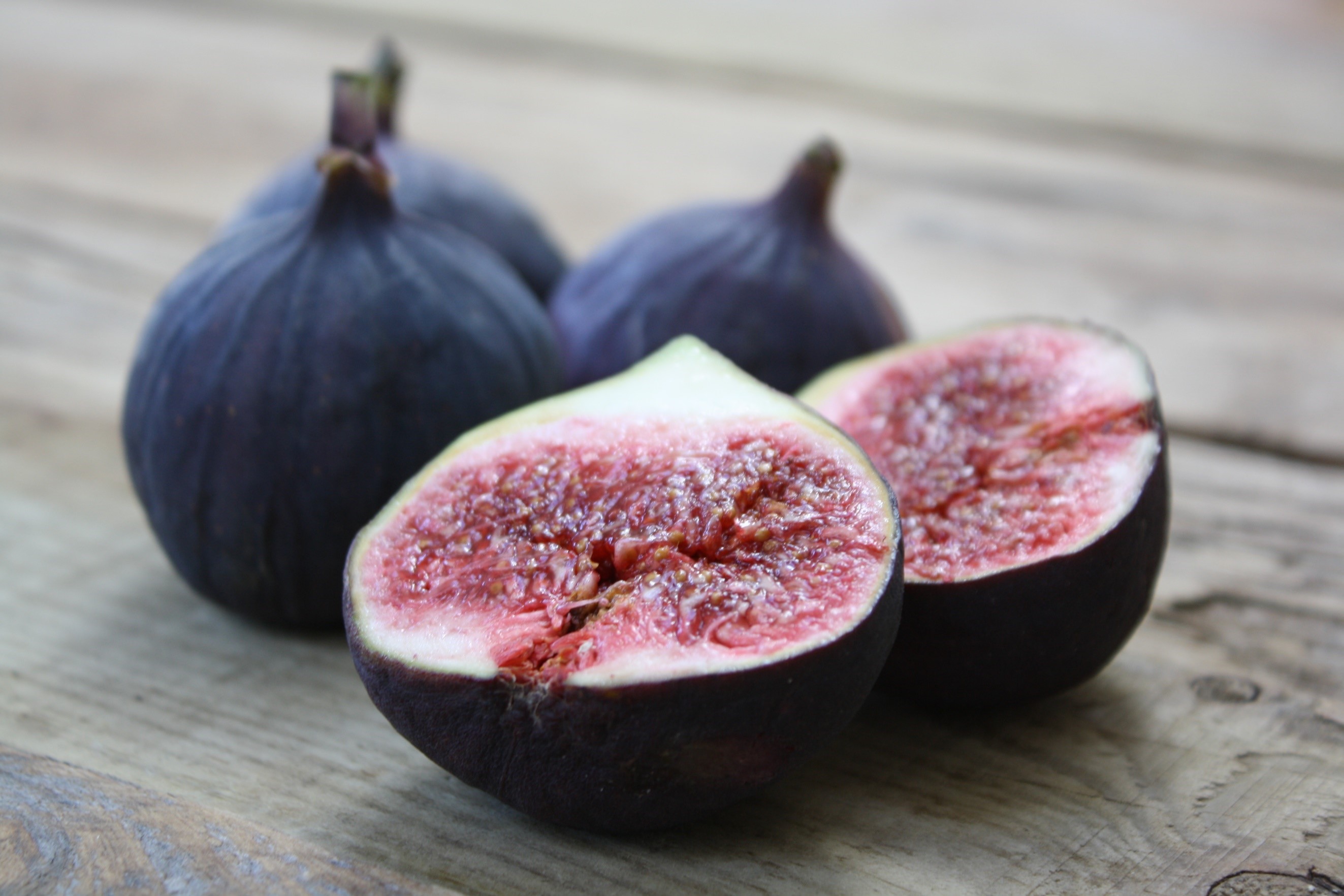 black-figs-1.jpg