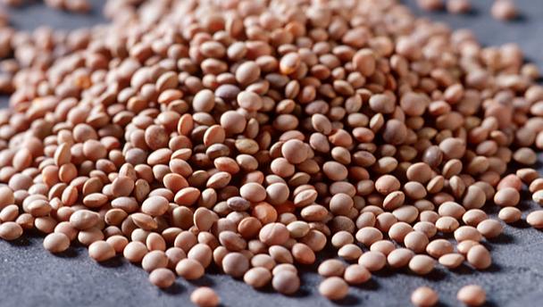 brown_lentil_16x9.jpg