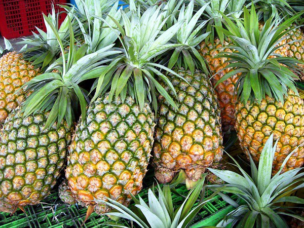 how-to-check-a-pineapple.jpg