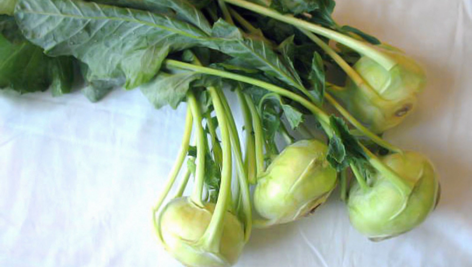 kohlrabi.jpg