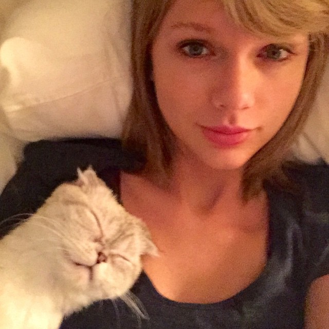 Taylor Swift a cukiság bajnoka. Mi lehet nyerőbb egy alvó cicás #iwokeuplikethis fotónál?