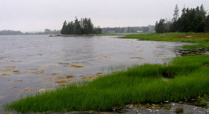 Hog Island3.jpg