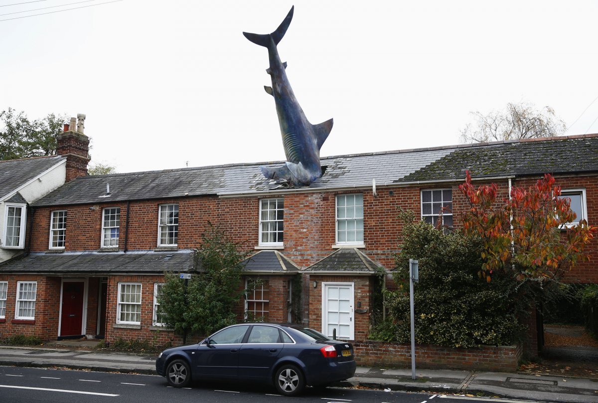 shark-weird-house.jpg