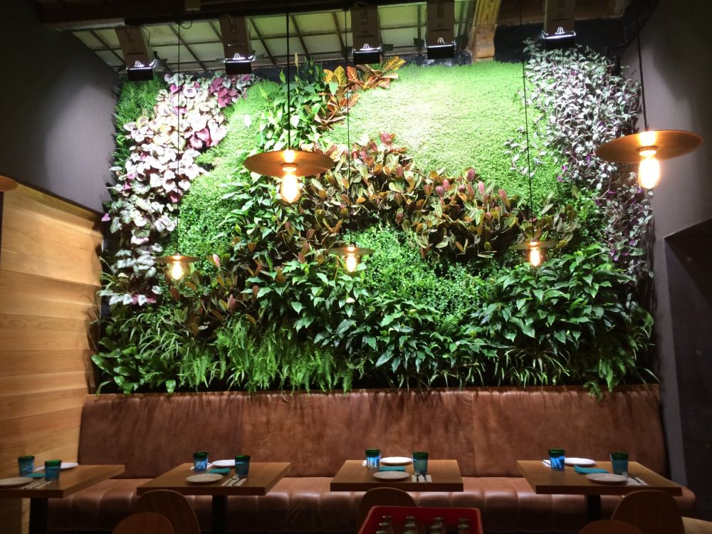 interior-restaurant-living-wall.jpg