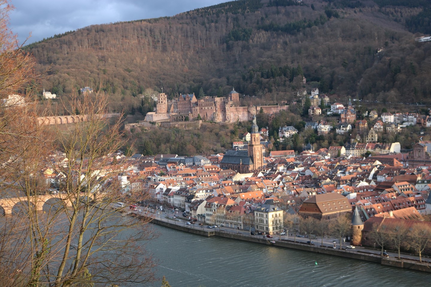 heidelberg15.jpg