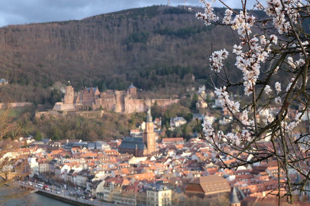 heidelberg16.jpg