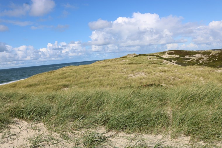 sylt21.jpg