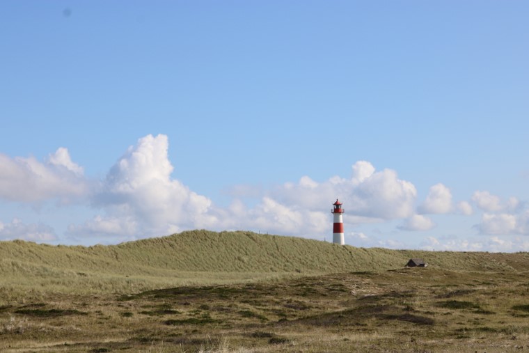 sylt38.jpg