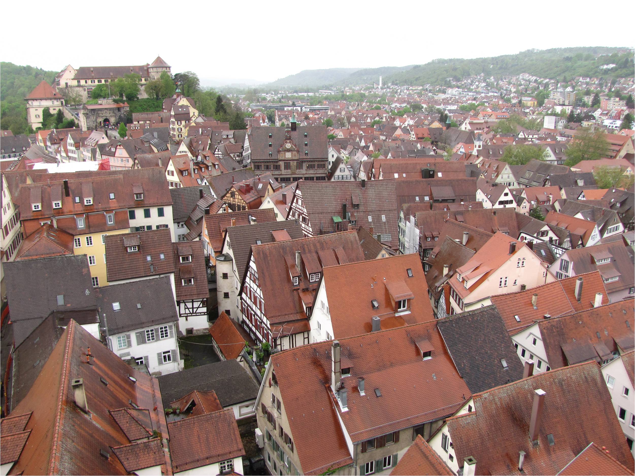 tubingen2.jpg