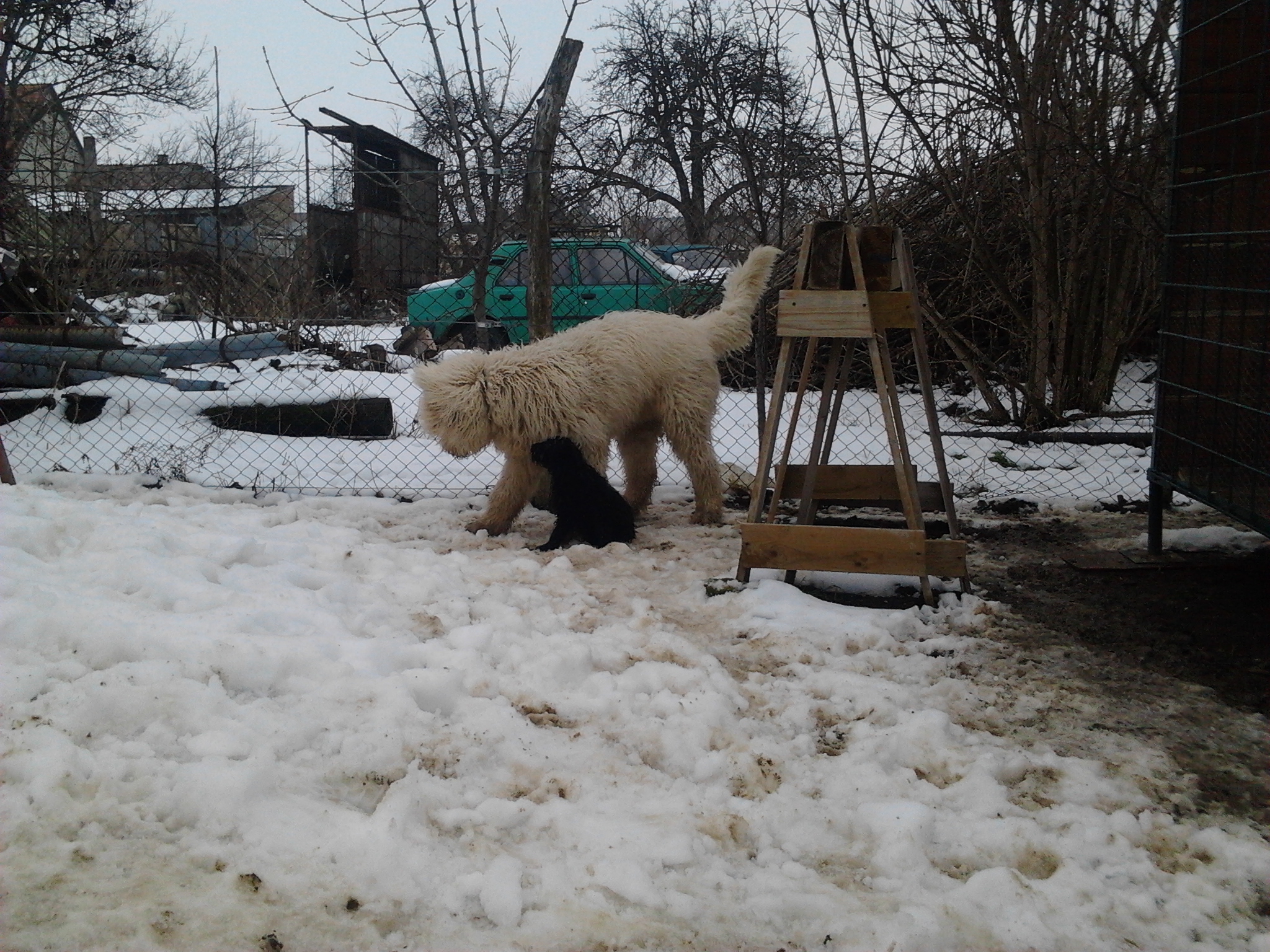 2013-02-17 09.55.26.jpg