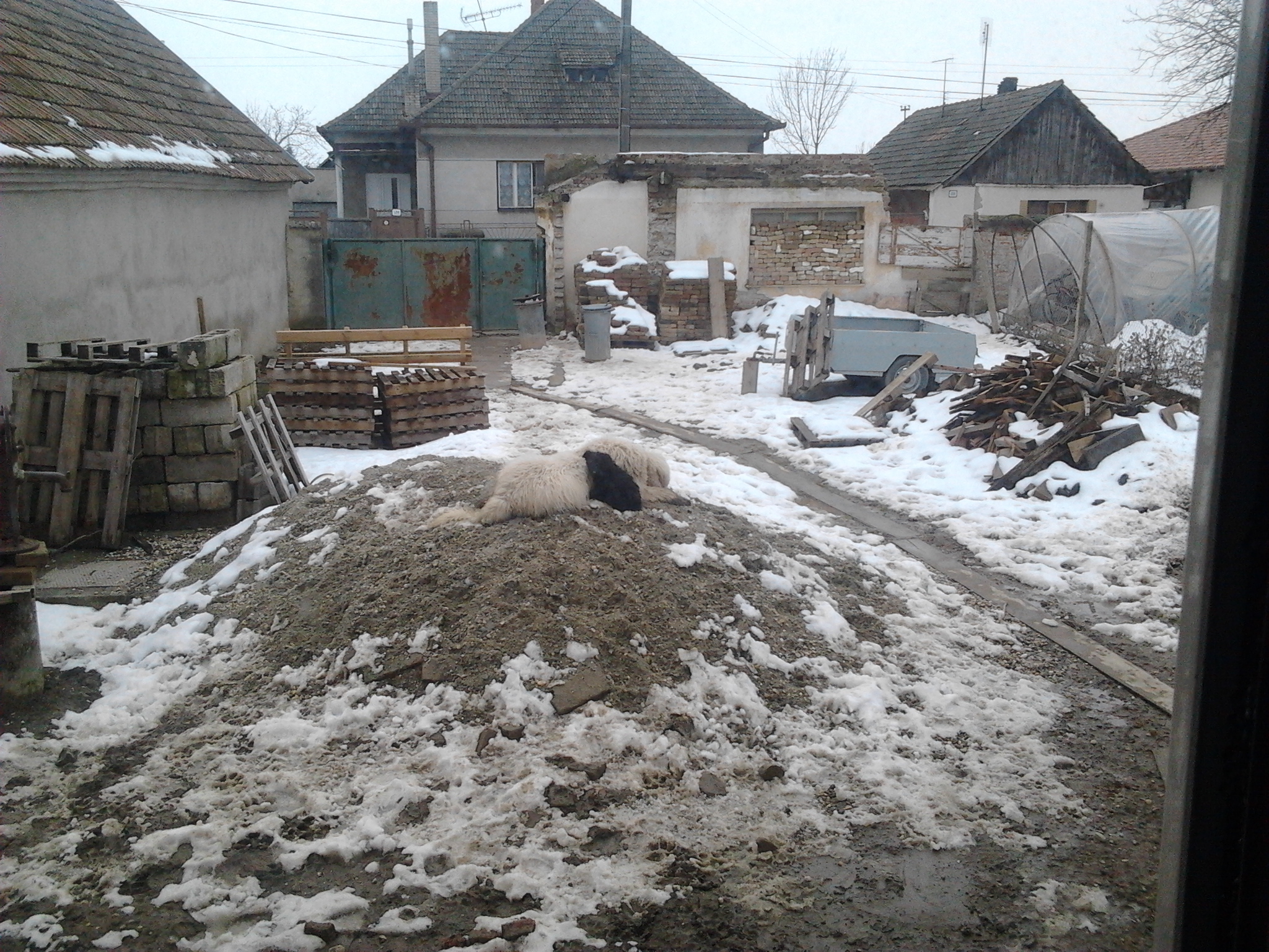 2013-02-18 11.18.32.jpg