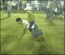 rodeo.gif