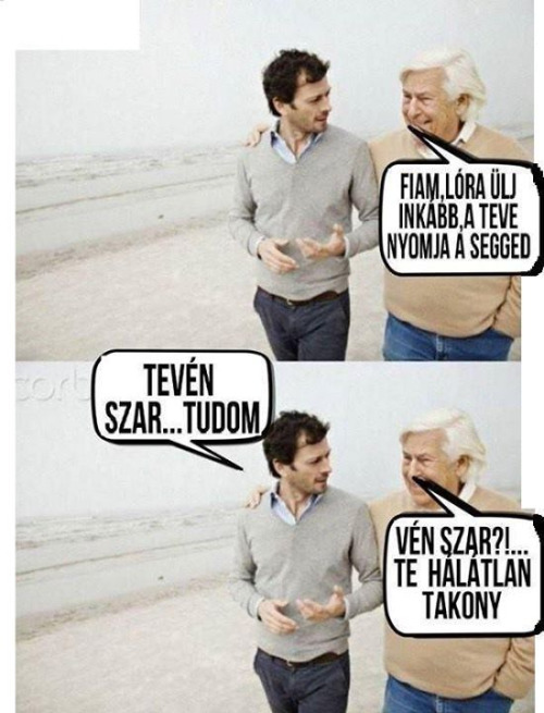 teszar.jpg