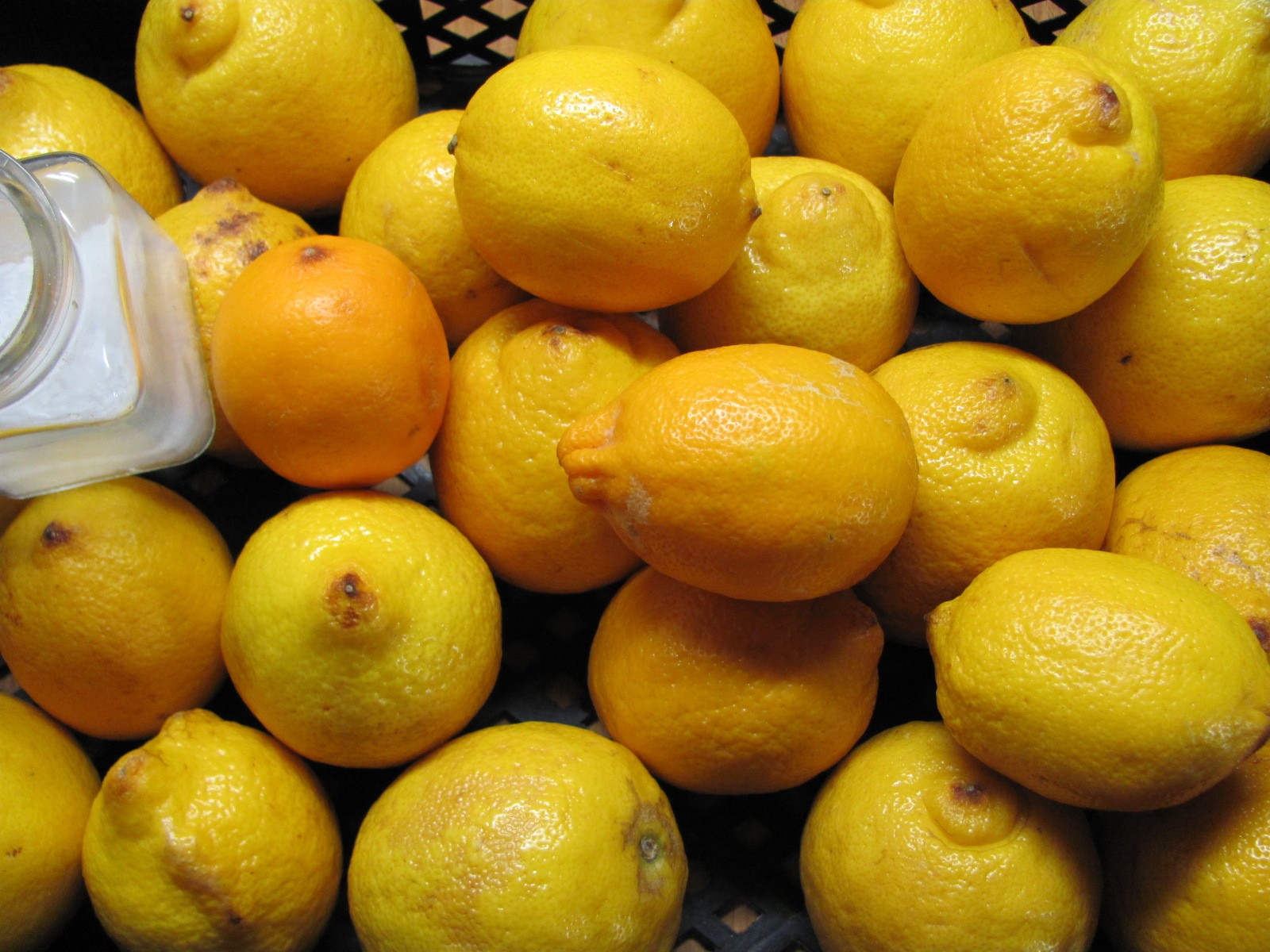 citromle.JPG
