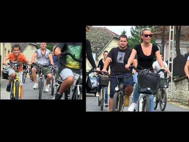 Critical Mass 2014