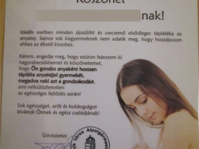 A bajai alpolgármester és a női mellek
